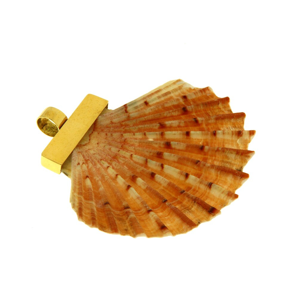 Ciondolo Conchiglia