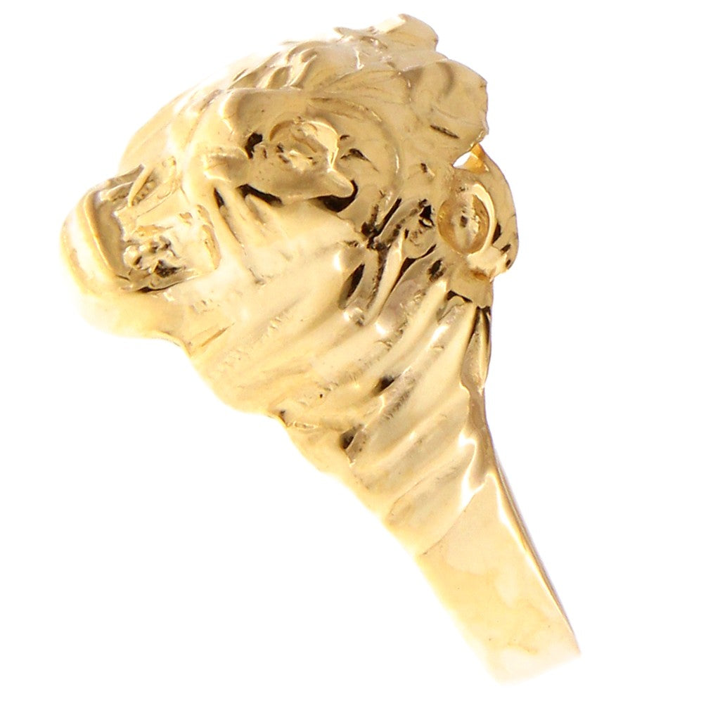 Anello Testa di Leone